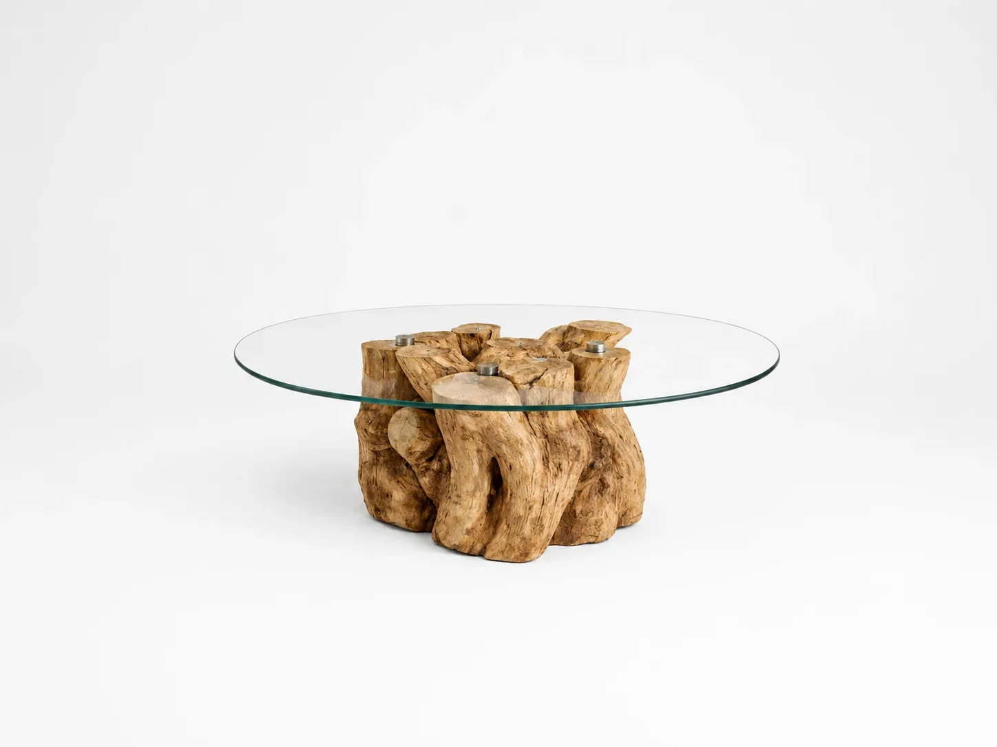 Root Essence Coffee Table