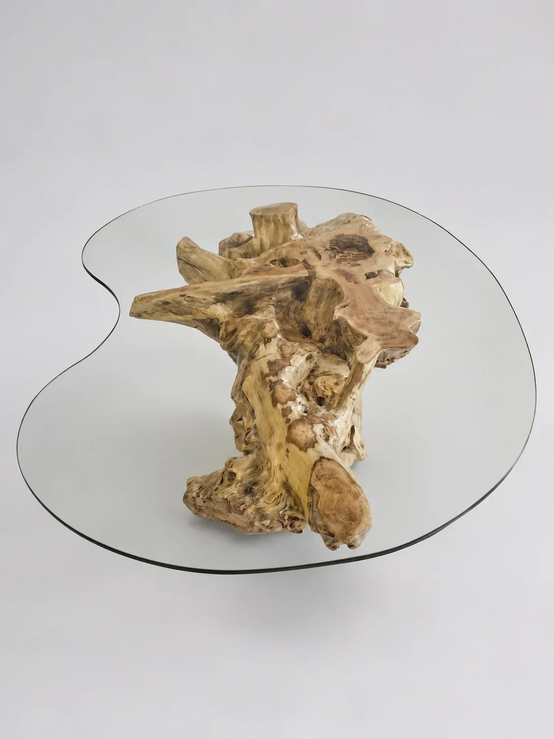 Natural teak root beneath a glass dining surface
